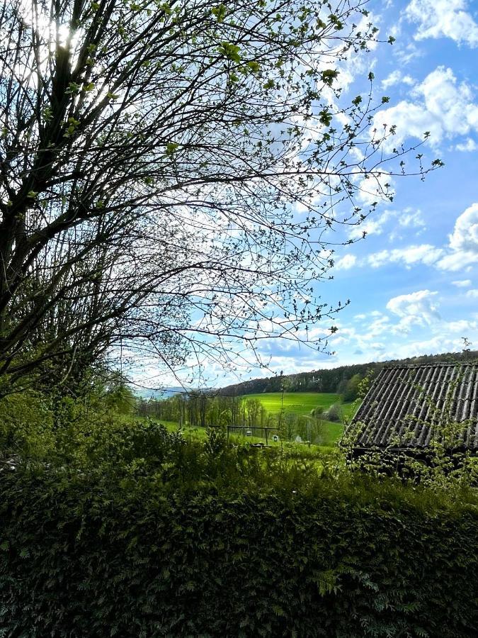Ferienhaus Kleine Auszeit In Der Natur Mit Kamin, Yogamatten, Schoene Kueche Extertal Экстерьер фото